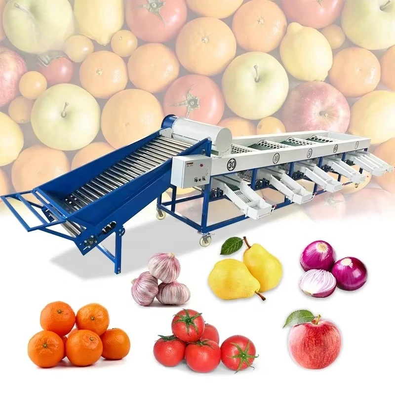 Equipo Multiusos para Clasificar y Lavar Frutas y Verduras: Tomate, Manzana, Cebolla, Naranja, Arándano, Patata, Aguacate, Dátiles - Personalizable