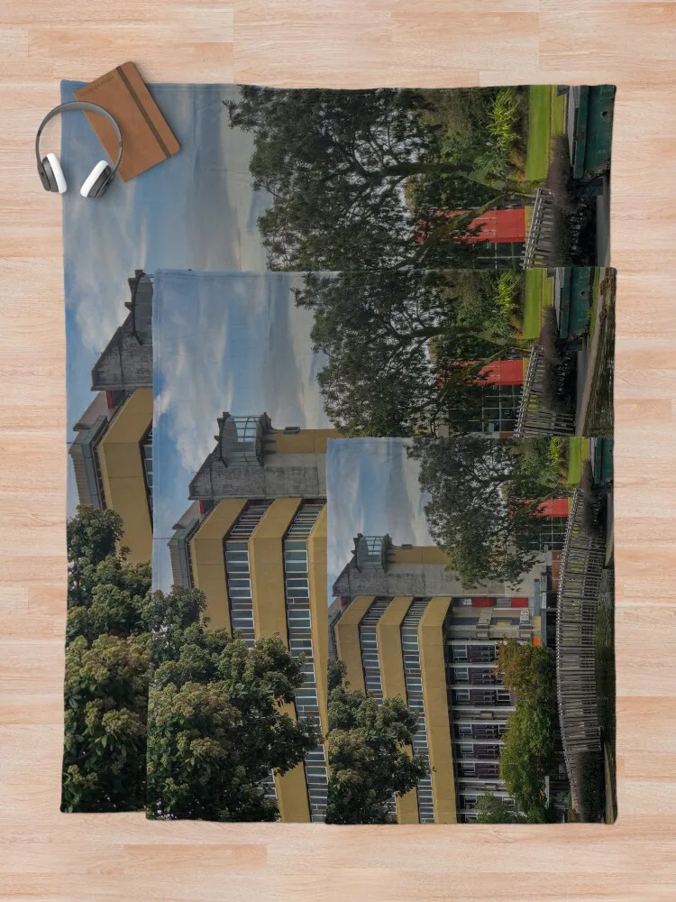 Pond And Council Buildings Palmerston North Throw Blanket Blanket Luxury Beach Blanket blanket for winter Fluffy Soft Blankets