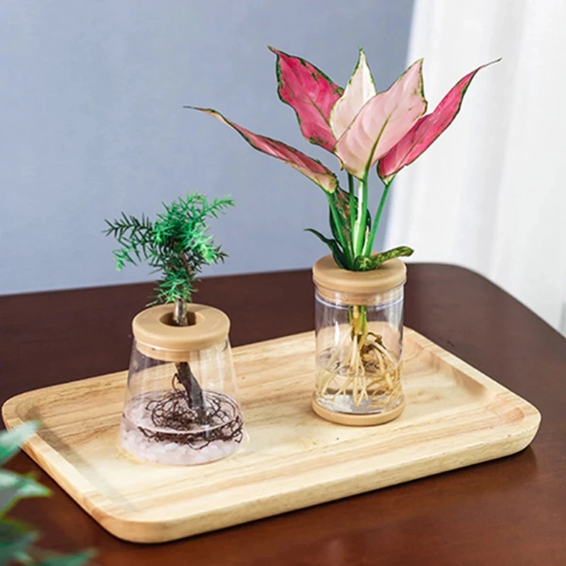 Nordic Plants Hydroponic Flower Vase Crystal Decoration Accessories For Home Room Decor Minimalist Vase Transparent Glass Vase