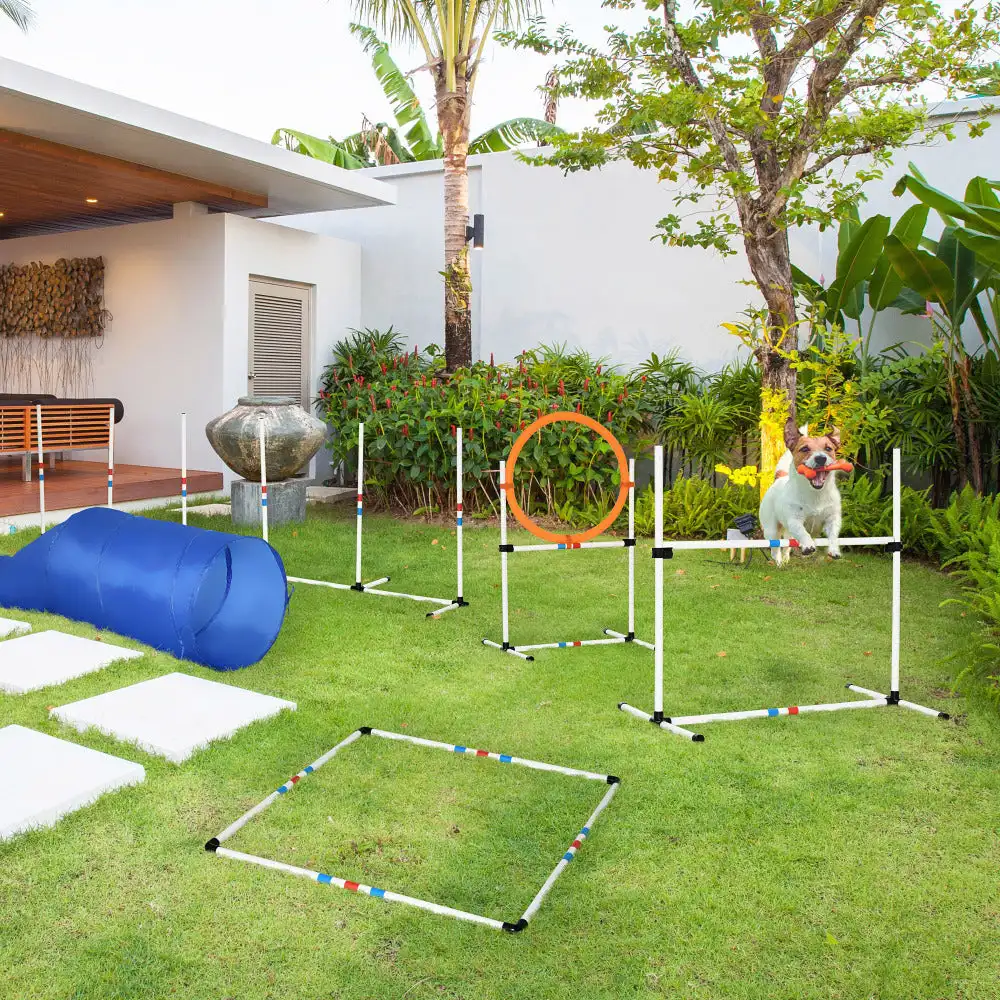 

PawHut Dog Agility Equipments, 5 Pieces Obstacle Courses Training Starter Kit, Pet Outdoor Games of Tunnel, Dog Jump, Hoop, Weav