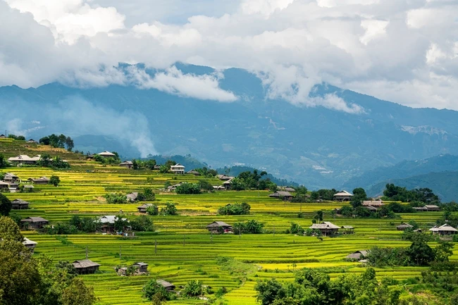 

Портативный диодный лазерный аппарат для удаления волос 808 нм с тремя длинами волн: 755 нм, 808 нм и 1064 нм для постоянного безболезненного удаления волос.