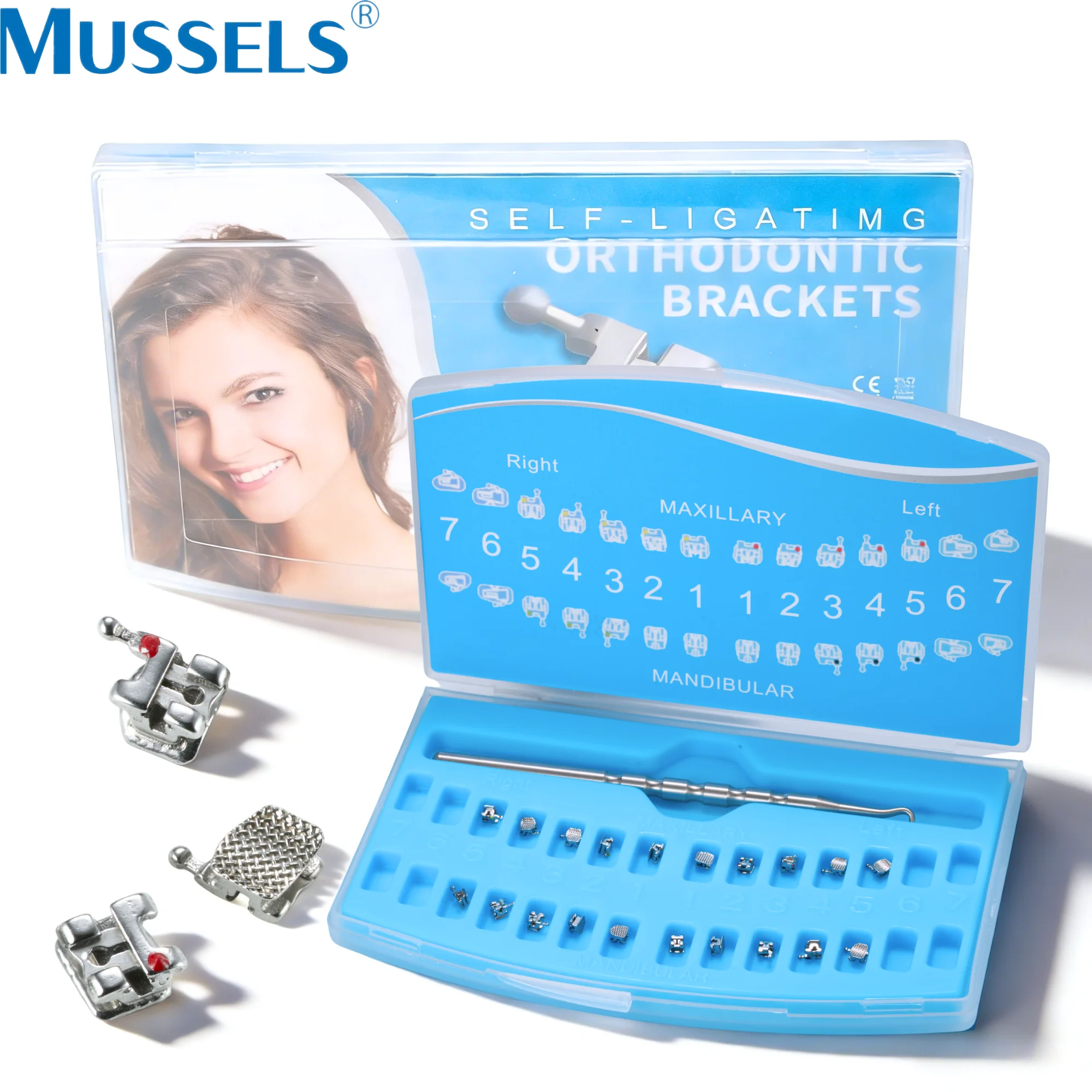 Orthodontic Metal B…