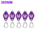 365nm 5pc