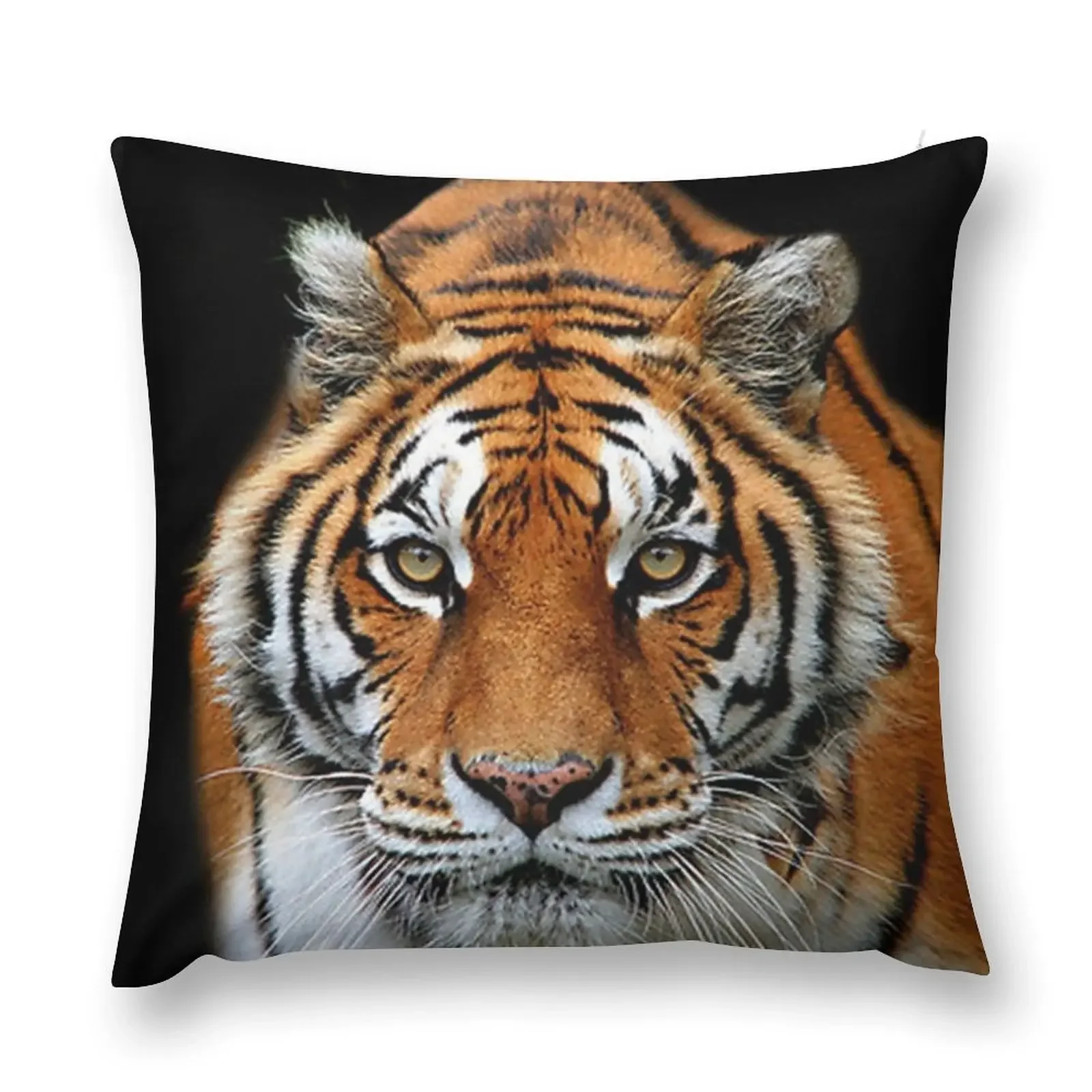 Looking into my Eyes Kuala Lumpur Zoo Throw Pillow Sofa Covers pillow cover luxury pillow