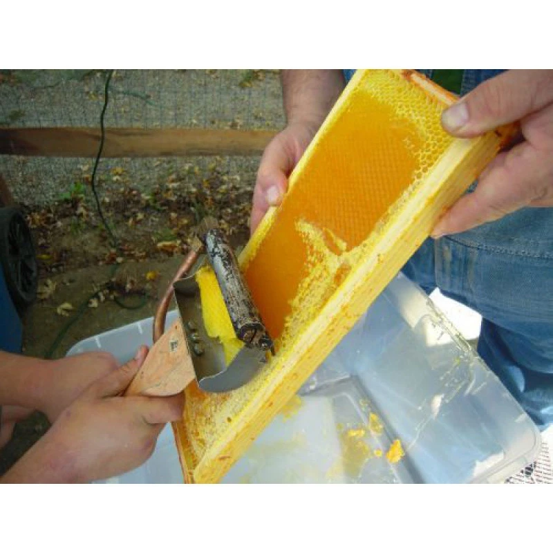 1 Pcs Electric Honey Extractor Knife Beekeeping Tools Scraping Hot Cutting Bee Scraper Electric Uncapping Knife EU Plug