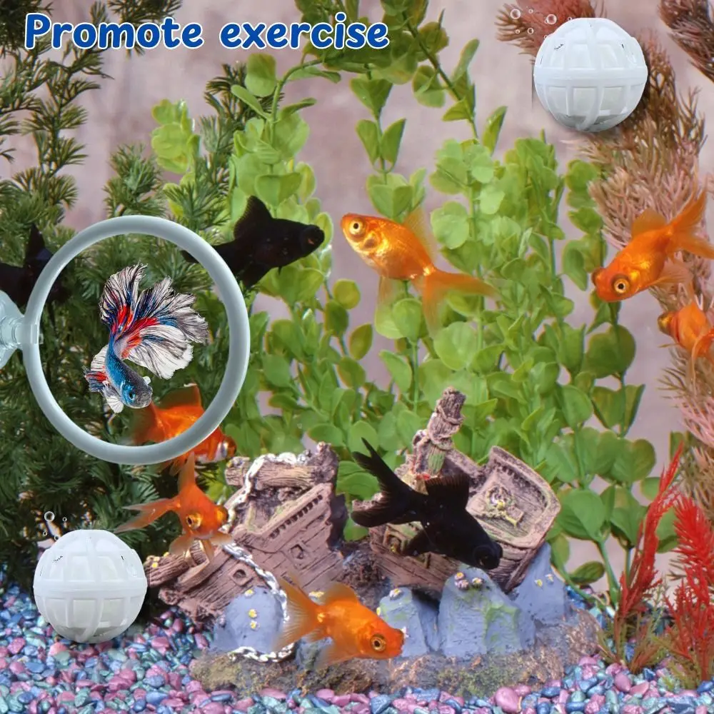 NEW Interactive Betta Fish Non-toxic Stimulating Filter Ball Set Universal Betta Exercise Ring Aquarium Accessories