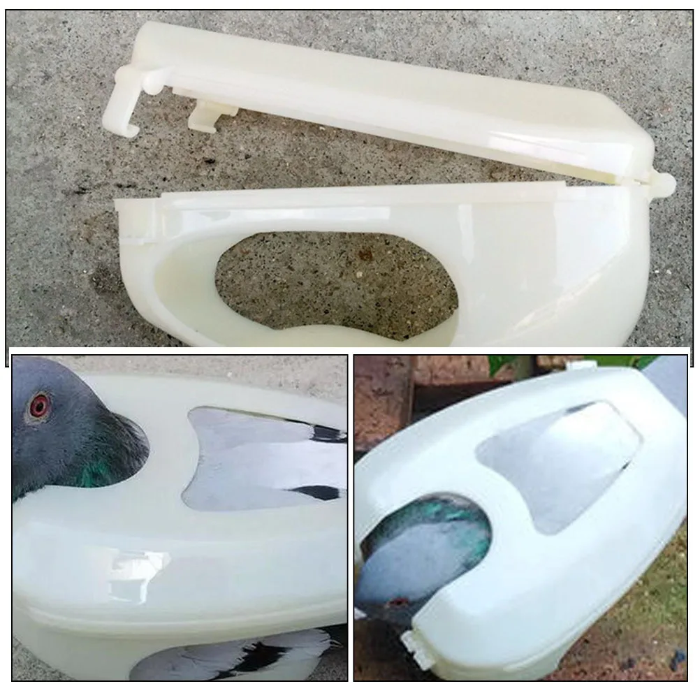 

Pigeon Fixed Holder Durable Plastic Hollow Injection Rack Medicine Feeding Tool Safe for Pigeon Care Observation