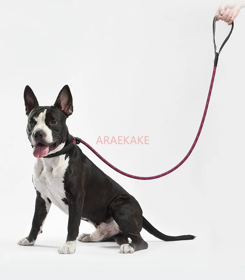 Dog walking rope, P-rope, large dog, P-chain training, medium-sized dog, towing rope, explosion-proof punching dog rope