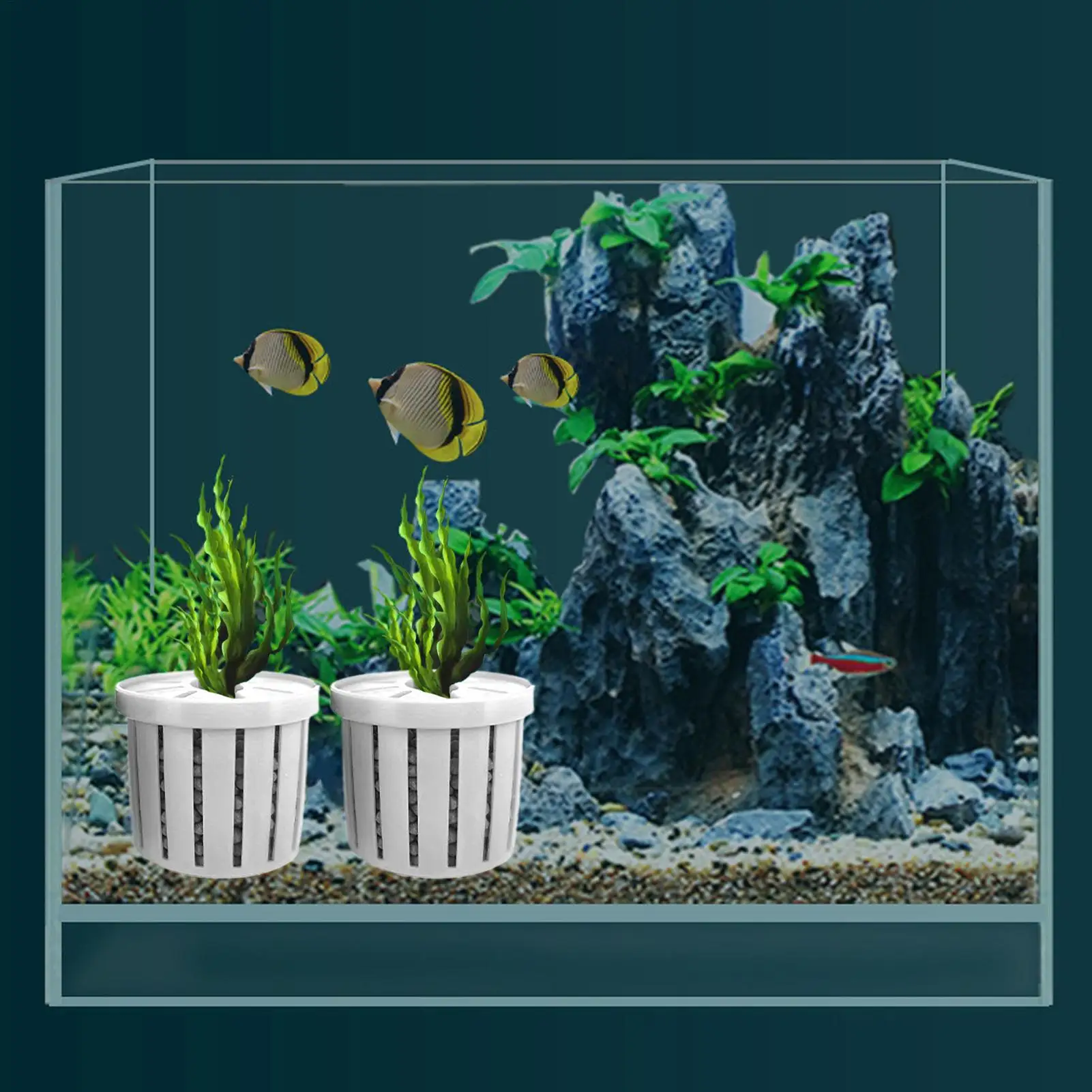 4 stücke Haustier Aquarium Dekorationen Zubehör Aquarium Anlage Stehen Stabile Aquarium Net Tasse Hydrokultur Anlage Lagerung Festen Korb – Detail 15