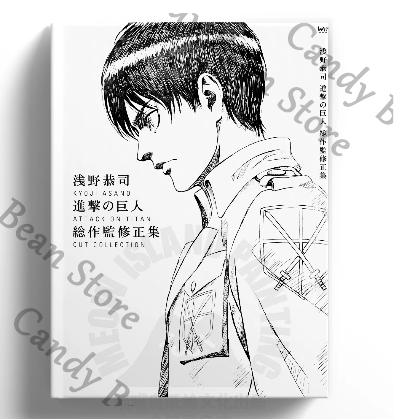 anime-ataque-a-los-titanes-eren-jaeger-levi-hange-zoe-cosplay-personaje-escena-accion-storyboard-album-colorido-contorno-de-arte-de-dibujos-animados