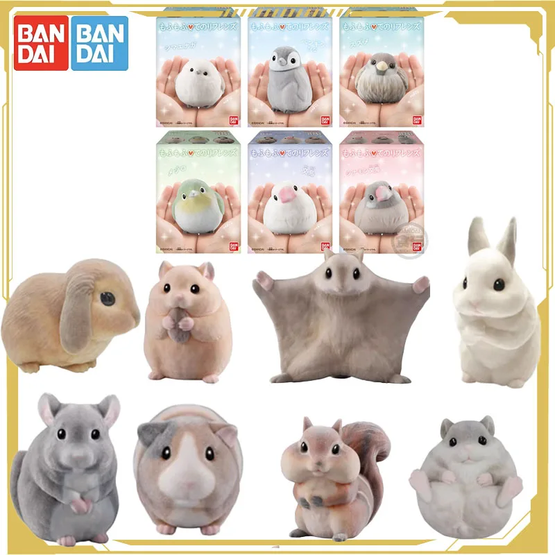 

Bandai Original Candy Toy Paw Little Moe Friend Bird Bird Owl Penguin Sparrow Action Figure Toys for Boys Girls Kids Gift