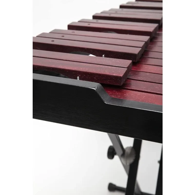 Stagg XYLO-SET 37 37-Key Xylophone with Mallets and Stand Instrumentos Musicais  Kalimba Marimba