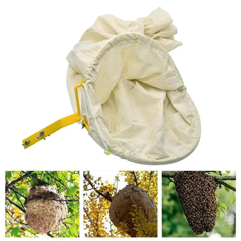 

Bee Cage Swarm Trap Beekeeper Tool Swarming Catcher Wild Bee Catching Box Beekeeper Catching Tool Beekeeping Supplies