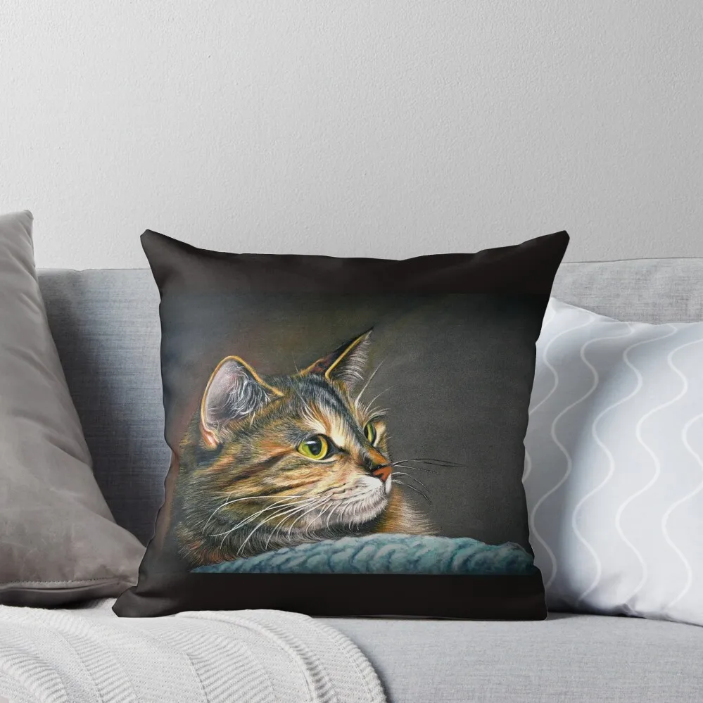 

Maine Coon Tabby Cat Artwork Throw Pillow Decorative Cushion Couch Cushions pillow