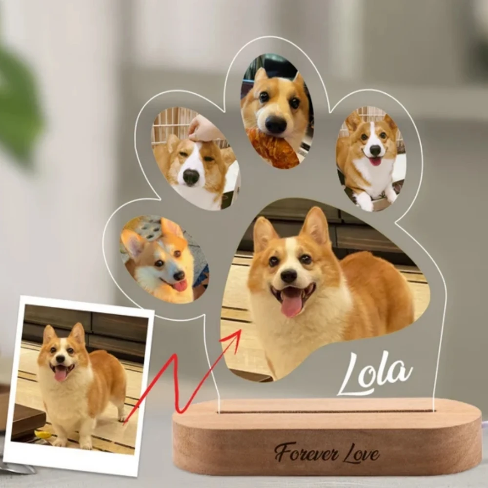 Pet Memorial Photo Frame, Night Light, texto personalizado, presente original para si mesmo, amigo, família, pessoal Pet Paw Shape Lamp