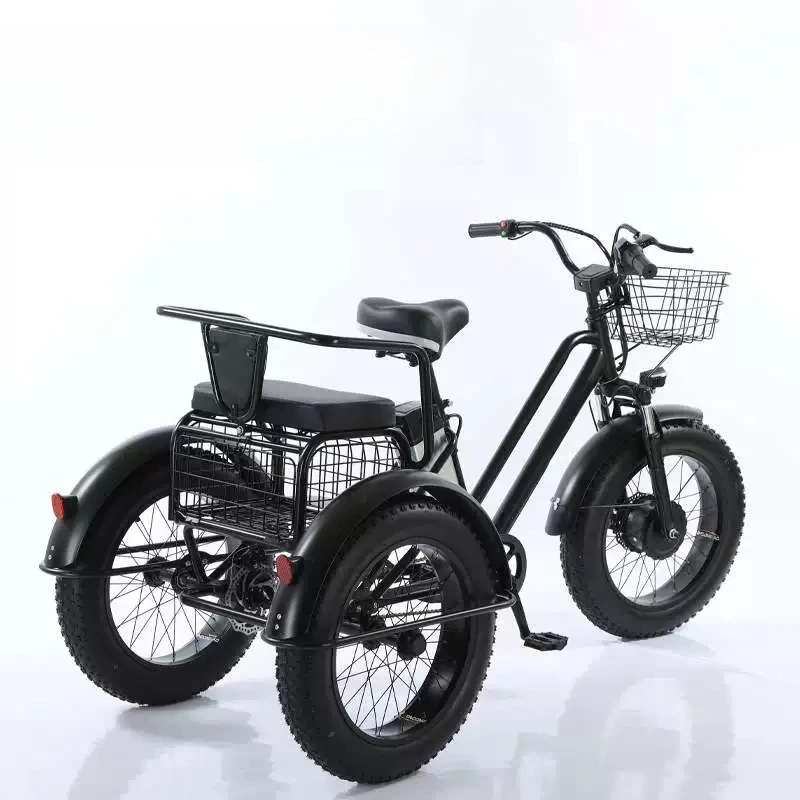 20 Inch Fat Tire Electric Tricycle 500W 48V Lithium Battery Pedal Assist E-Trike for Snow Beach Mountain Adults