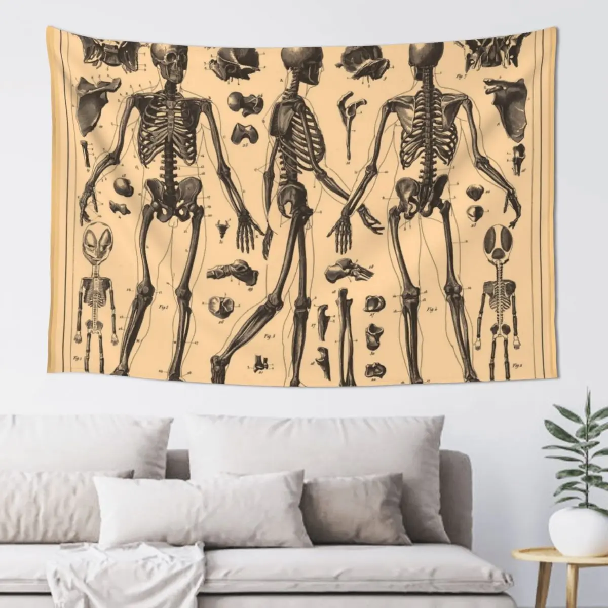 Vintage Human Skeleton Anatomy Diagram (1907) Tapestry Aesthetic Home Decor Wall Decor Hanging Tapestry