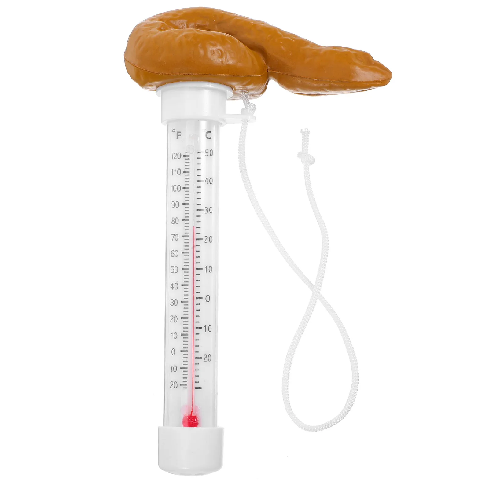 

Плавающий термометр для бассейна: легко считываемая индикация температуры воды - забавный термометр в виде какашки для бассейнов, спа-салонов, гидромассажных ванн и прудов.