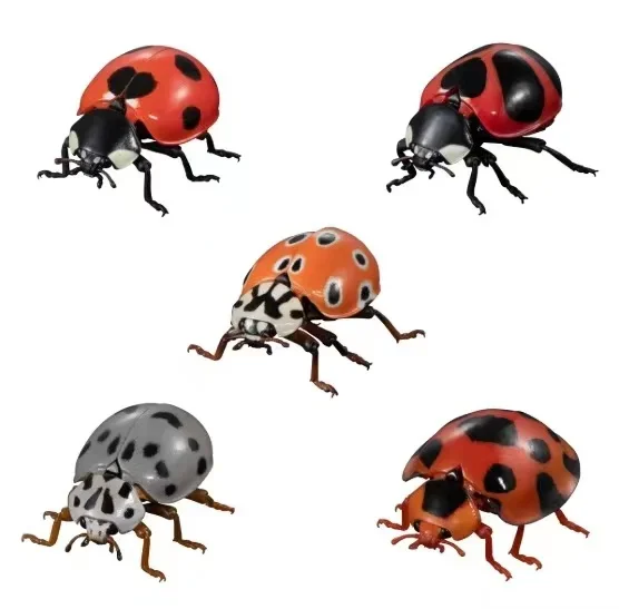 Genuine Gacha Scale Model, Simulação Cognitiva Biológica, Figura de Ação Sete Manchadas Lady Beetle, Brinquedos Japoneses