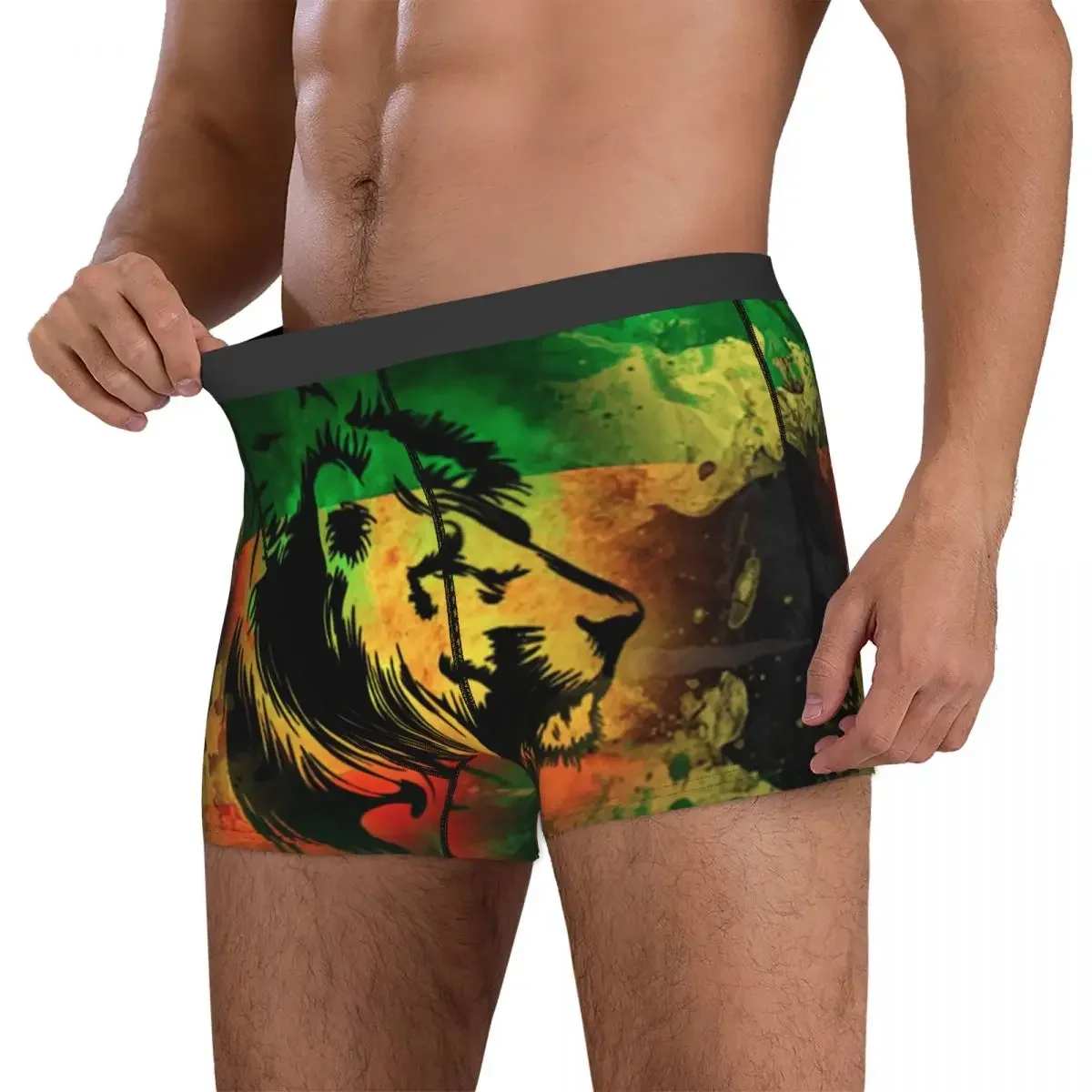 Boxer Underpants Shorts Rasta Lion Stripe 5 Panties Men Comfortable Underwear for Homme Man Boyfriend Gifts