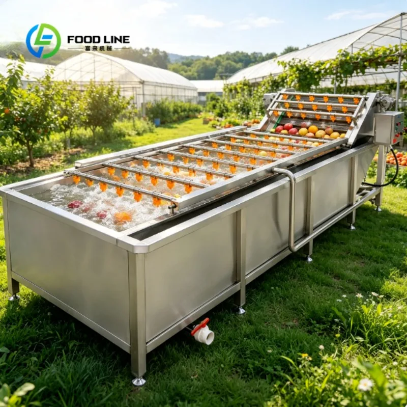 

Stainless Steel Bubble Washing Machine High Capacity Fruit Vegetable Cleaning Equipment for Factory Use