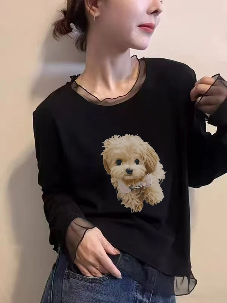 Korean Style Long Sleeve T-Shirt Women's Mesh Lace under Shirt Fashionable Versatile Slimming Top Commute Style Winter Season