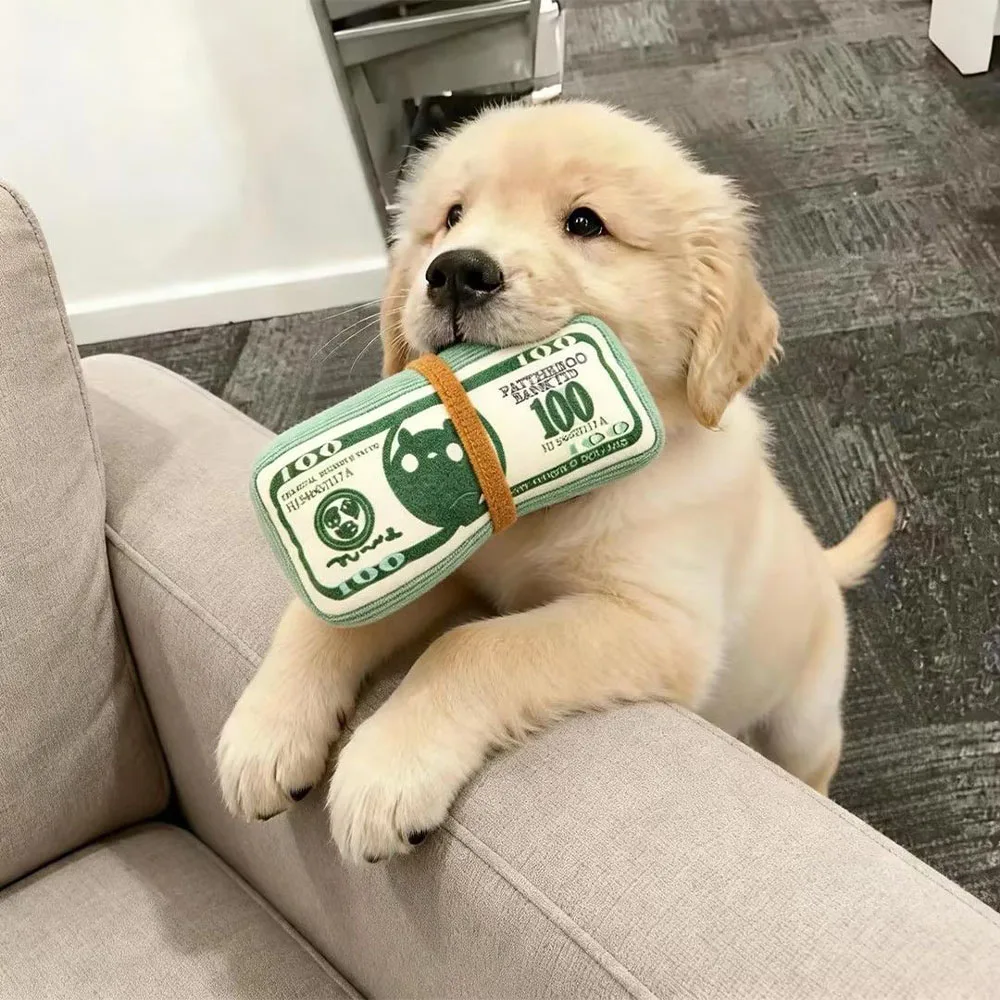 Dog Toy Money Shape Bite Resistant Indestructible Squeaky Toy Sound Interactive Self-Play for Dog Puppy Cat Pet Training Supplie