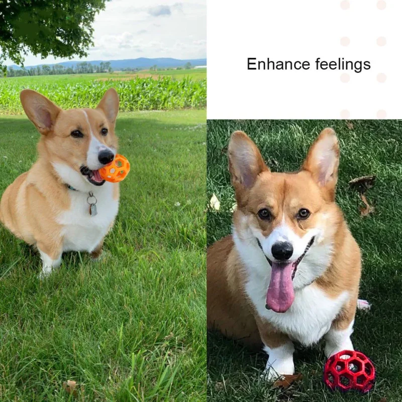 Thumbnail 2 - #61 Best Dog Balls to Buy In 2026