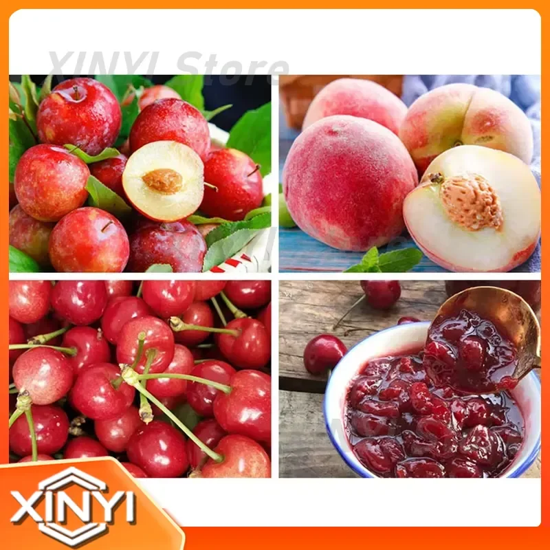 Stainless Steel Pulping Machine Peeling and Pitting for Fruit and Vegetable Processing Cherry Mango