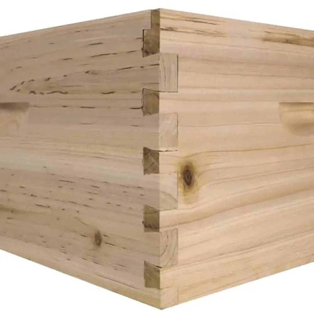 Beekeeping Kit Hive Body Super Box Pine Frames Wax Coated Foundations Metal Cover Bottom Board Beehive Bee Species Honey