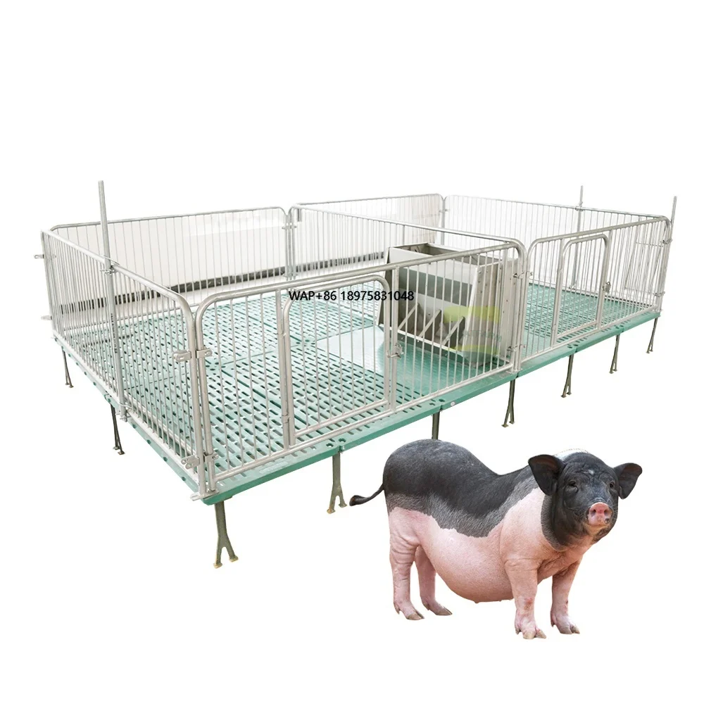 High - Quality Piglet Nursery Crate with Durable Structure for Efficient Pig Rearing