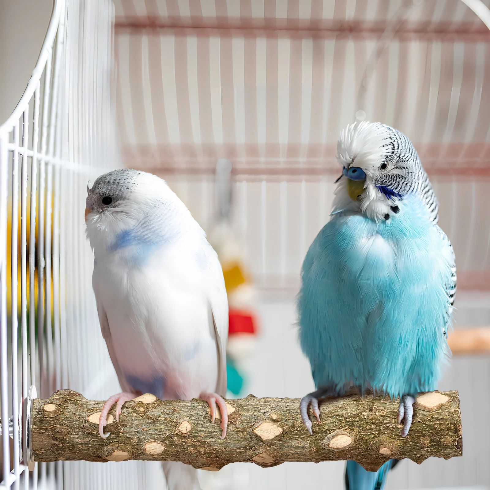 

4 Pcs Bird Perches Wood Platform Swing Accessories for Parrots Cage Branch Bath Toys Climbing Large Birds Pet Supplies