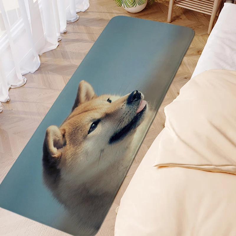 

Anime Rug Shiba Inu Modern Home Decoration Carpet Entrance of House Interior Entrance Mat Bathmat Washable Non-slip Kitchen Rug