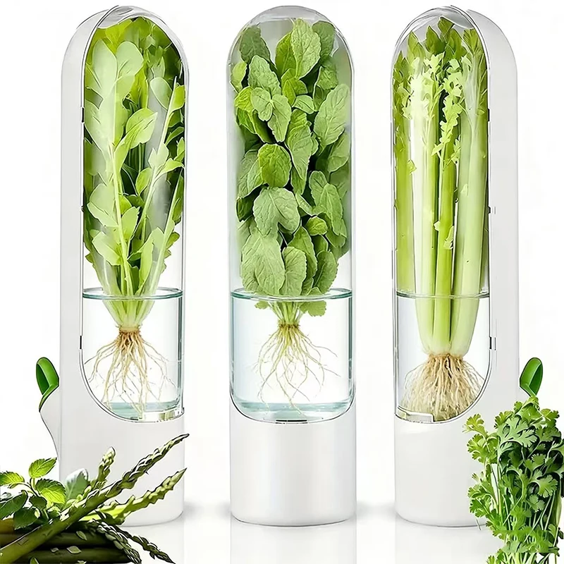 Caja hermética para verduras, a prueba de polvo, antipresión, ecológica, dispositivo para mantener la frescura, para cilantro, zanahorias, suministros de almacenamiento para cocina