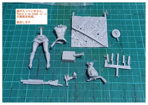 Buyer photo of this resin kit