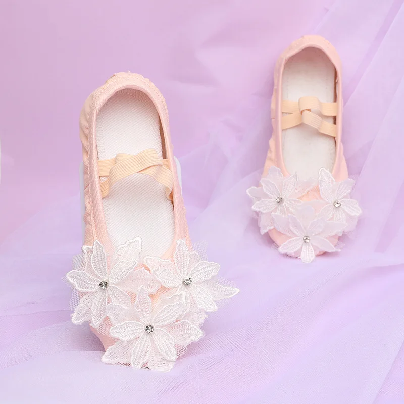 

Ballet Shoes Girl for Child and Adult Solid Light Dance Shoes for Woman Adult Woman Ballet Standard Woman Dance Shoes Flower