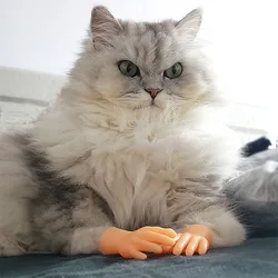 Funny Cat Toy Small Finger Silicone Gloves Cat Massage Tool Finger Puppets Mini Tiny Hands Dog Finger Puppet Toy Halloween gift