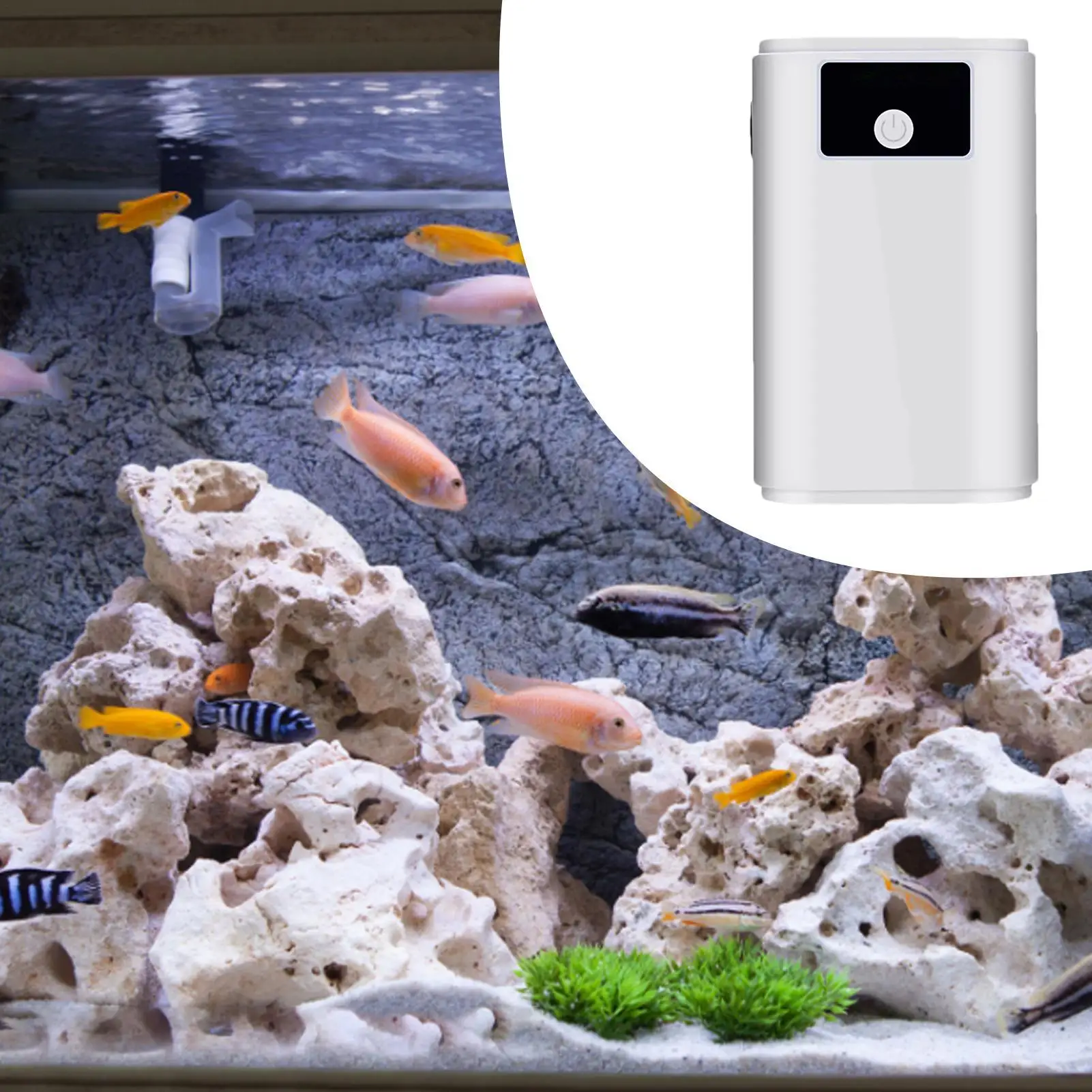 Bomba de oxígeno para tanque de agua, bomba de burbujeador para acuario, aireador eléctrico, diseño recargable con manguera de 59 pulgadas, bomba de oxígeno portátil