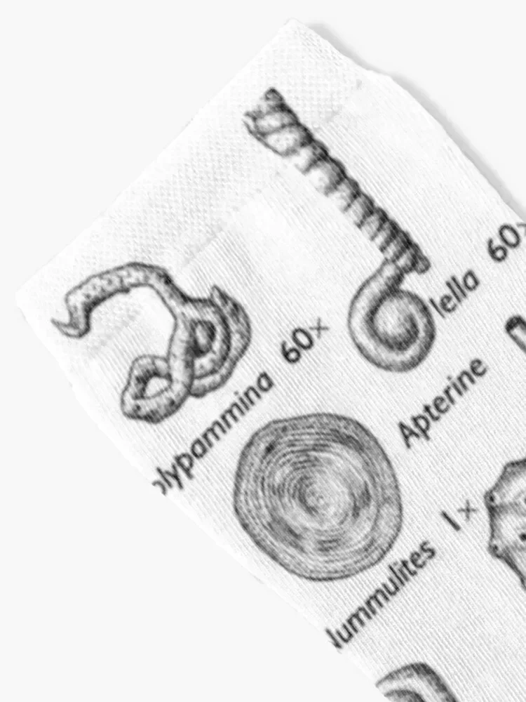 Fossils, paleontologists Socks funny sock Climbing Rugby hiphop Girl'S Socks Men's