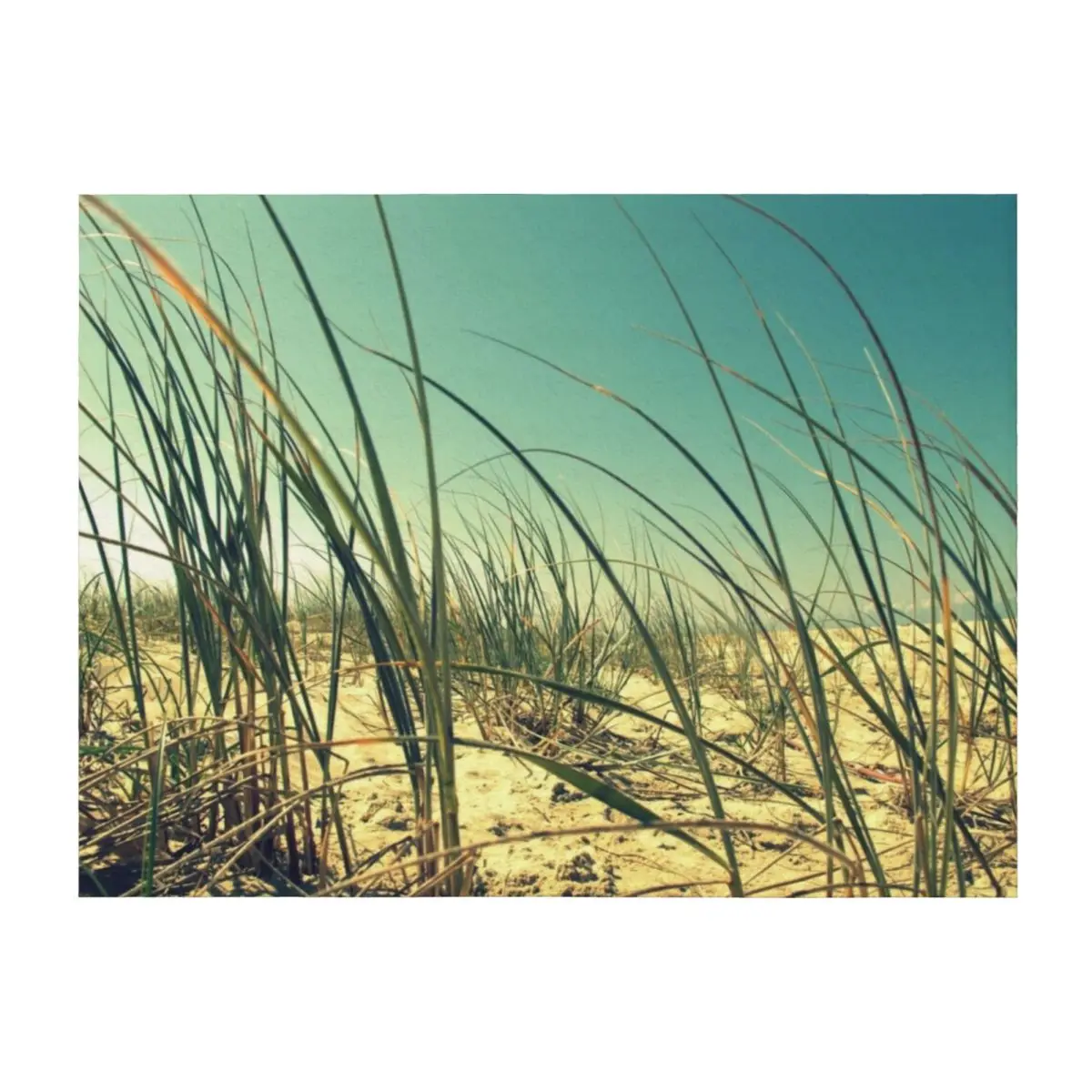 

Beach Dunes Throw Blanket Multi-Purpose valentine gift ideas Weighted Cute Plaid Blankets
