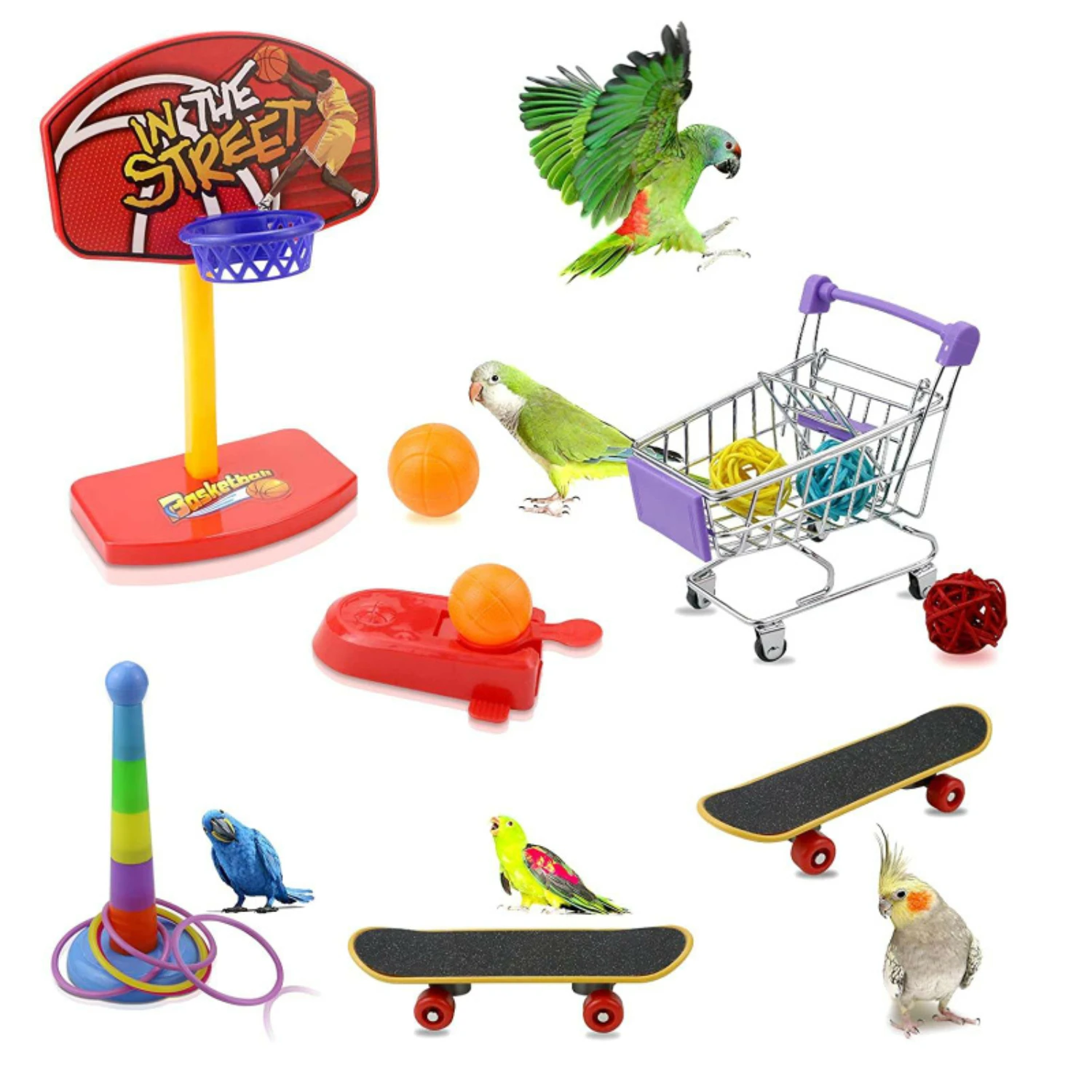 Enhance your joy with the ultimate fun and learning experience: Enriched Lovebird Training Toy Supplies Inspired by Basketball. 