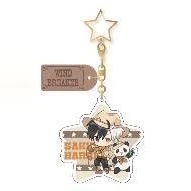 official WIND BREAKER ambitus Sakura Haruka  Umemiya Hajime colleagues Q version acrylic pendant keychain delicacy small gift