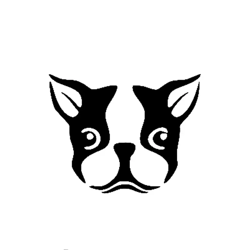 Boston Terrier Faci… - image