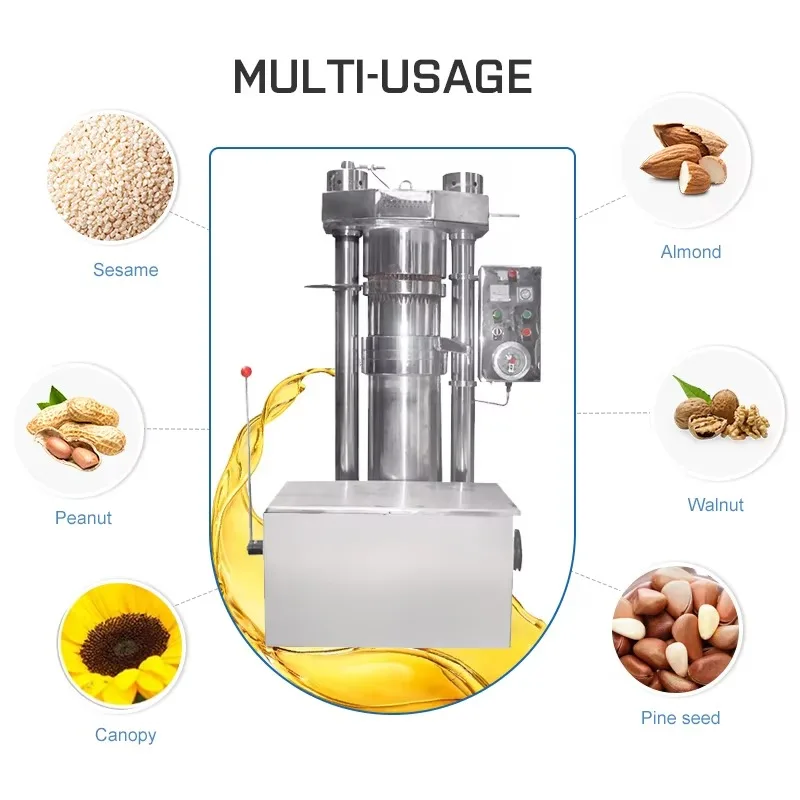 Customized Factory Supplier Walnuts Hazelnuts Pumpkin Avocado Oil Production Equipment Hydraulic Oil Press Machine oil extractor
