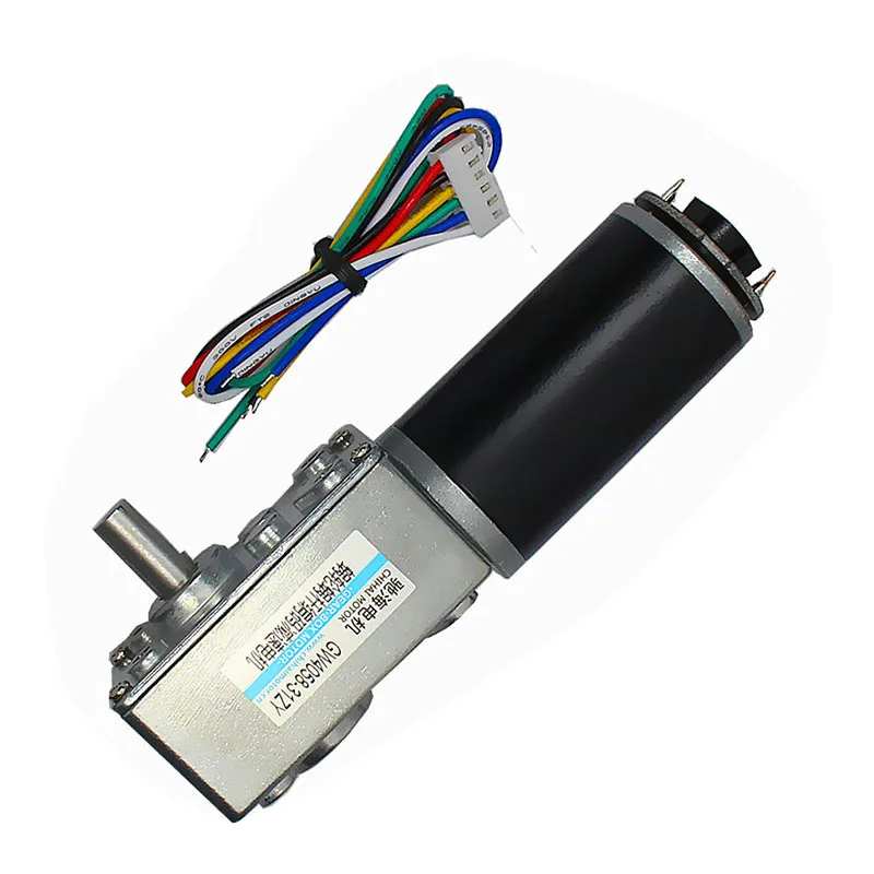 GW4058-31ZY DC Worm Gear Motor with Magnetic Hall Encoder