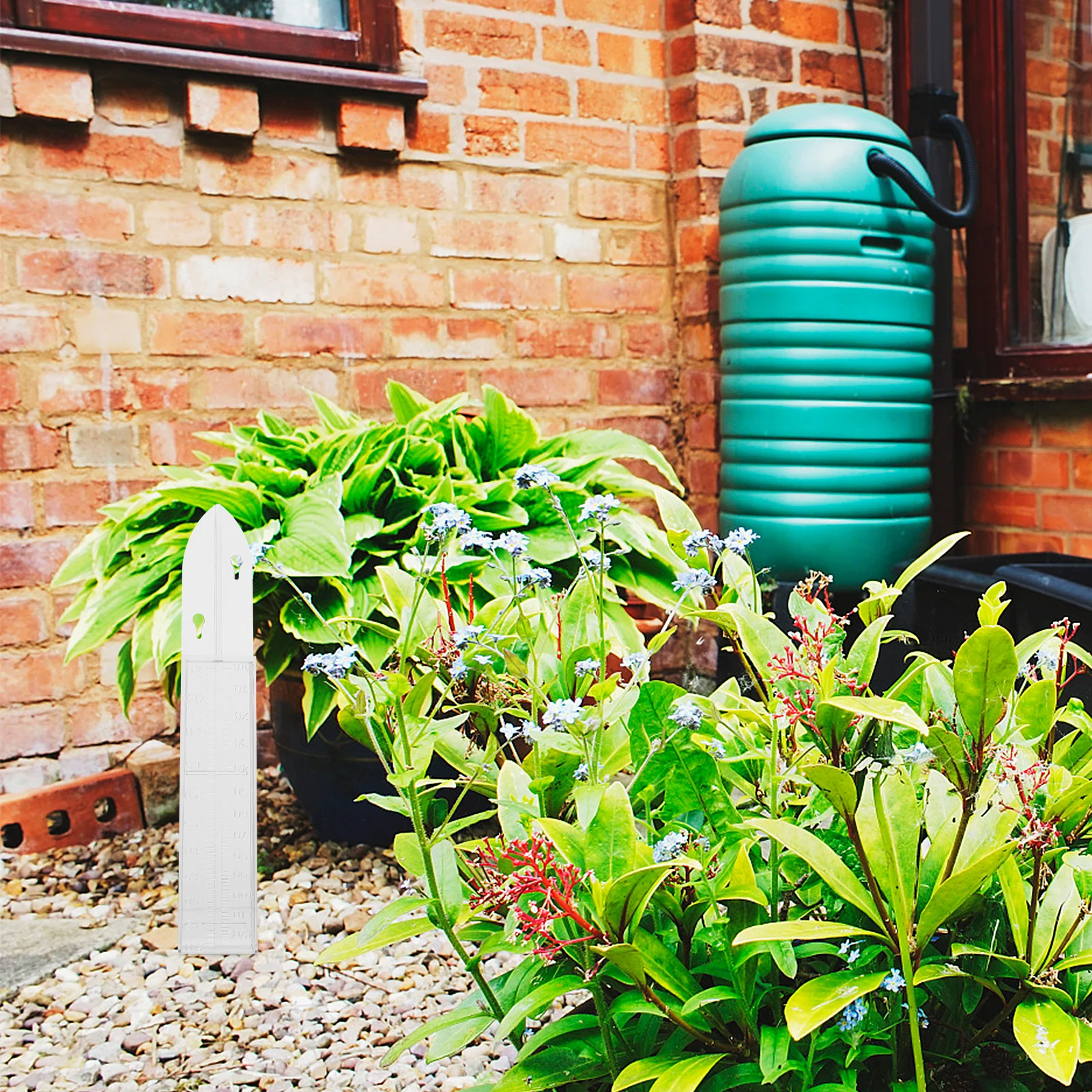 

1Pcs Rain Gauge Cup Plastic Precise Measurement Durable Practical Easy to Read Numbers Rain Gauge Plastic Measuring Cup