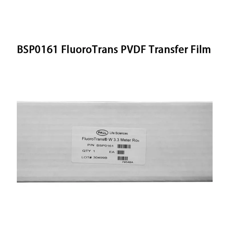Pall BSP0161 FluoroTrans Hydrophobic PVDF Transfer Membrane 0.2µm Pore Size 127µm Thickness for Laboratory Use