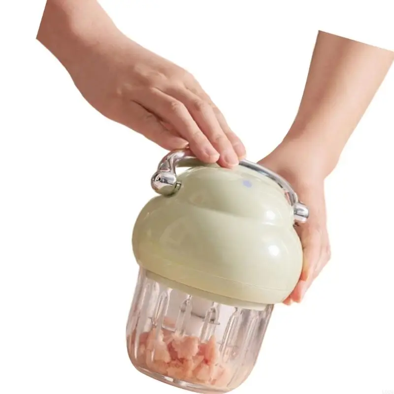 고기 분쇄 마늘과 야채 다지기에 강력함