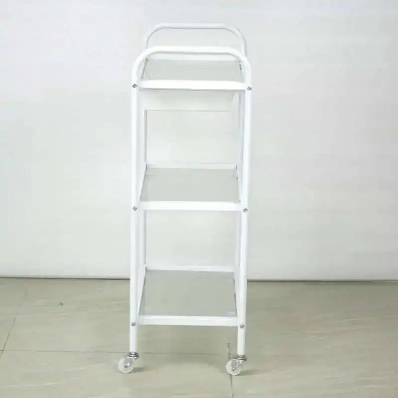 

Loading Auxiliary Cart Hairdressing Trolley Salon Wheels Beauty Furniture Nail Chariot de salon Trolleys Professional Simplicity