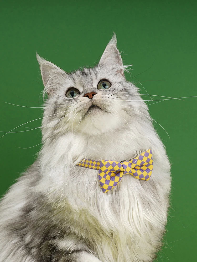 Zeze Pet Bow Tie  Collar Cute  Knot Photo Decoration Plaid Series Scarf Pet Supplies Adorable Pet Accessories